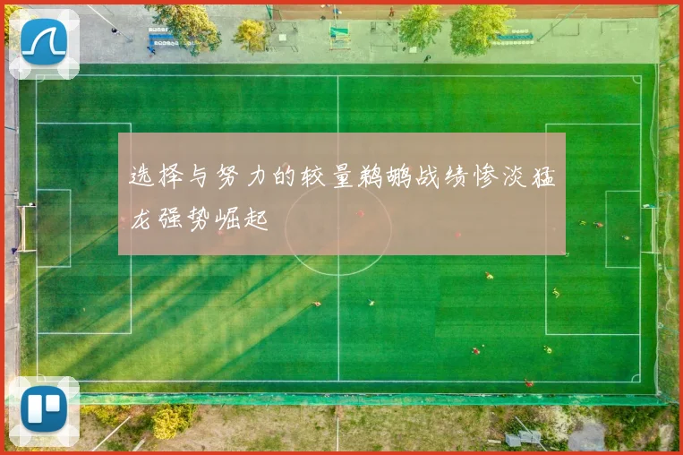 选择与努力的较量鹈鹕战绩惨淡猛龙强势崛起